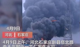 杭州工厂爆料事件视频播放,揭露背后的真相与争议
