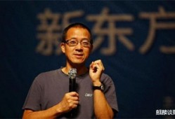 爆料俞敏洪家事视频播放,视频爆料背后的真相与反思