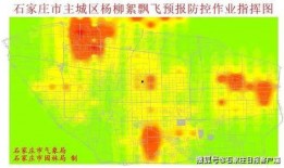 石家庄杨柳絮最新爆料,漫天飞絮扰民，应对措施全解析