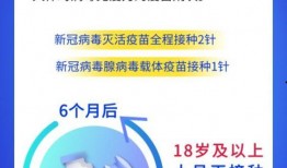 河北疾控最新爆料,揭示疫情新动态与防控措施调整