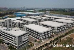 玉林二环爆料事件视频最新,真相与争议交织的街头冲突