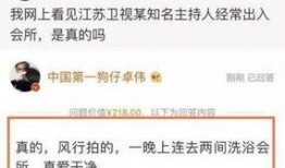 卓伟最新爆料刘氏女子,揭秘刘氏女子神秘身世与惊人真相