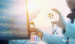 科技新闻爆料入口在哪,掌握行业动态的神秘通道