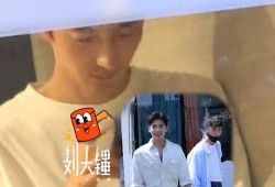 杨洋王楚然互相爆料视频,友情与争议的交织