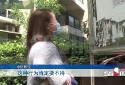张先生爆料老婆视频大全,老婆私密视频大全曝光，真相令人震惊