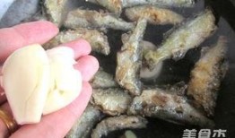 盐焗小鱼丸爆料视频