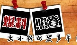 各种官方新闻和爆料,最新热点事件深度解析