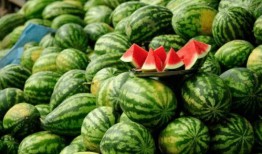 各种网红爆料吃瓜群合集,吃瓜群众热议娱乐圈风云