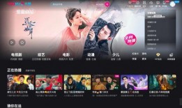 优酷粽子爆料视频,粽子背后的故事与传承