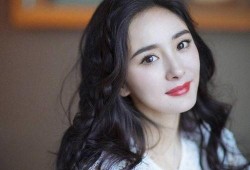 杨幂每日爆料最新,揭秘明星幕后生活点滴