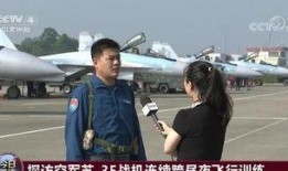 武汉飞行员爆料案件最新,揭秘背后惊人真相与调查进展