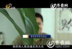 北京刘先生最新爆料