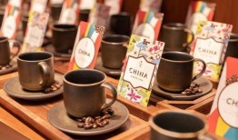 云南咖啡爆料视频大全,视频大全带你领略咖啡魅力