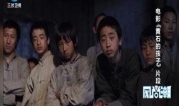 黄石的孩子在线观看,穿越时空的守护传奇