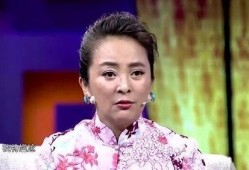 李勤勤二婚爆料视频全集,视频全集深度剖析