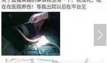 黄鳝琪琪在线观看,在线观看，揭秘网络红人的魅力之旅