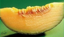 网红哈密瓜怎么吃最好吃,解锁美味新吃法，尽享夏日清凉