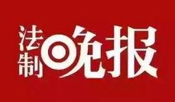 各种官方新闻和爆料,最新热点事件深度解析