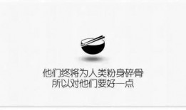 爆料牛蛙视频文案说说,爆料背后的惊人真相