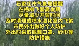 石家庄杨柳絮最新爆料,漫天飞絮扰民，应对措施全解析