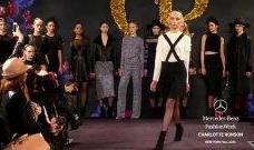 charlotte在线观看,在线观看指南