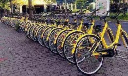 共享单车最新消息爆料,行业洗牌加速，未来格局将如何演变？