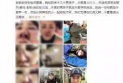男子爆料旅游视频播放,揭秘旅行中的真实一面