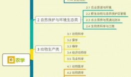 大琪爆料开播视频大全,开播视频大全精彩瞬间大盘点