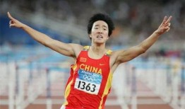 刘翔网友爆料事件视频在线观看,揭秘真相与争议